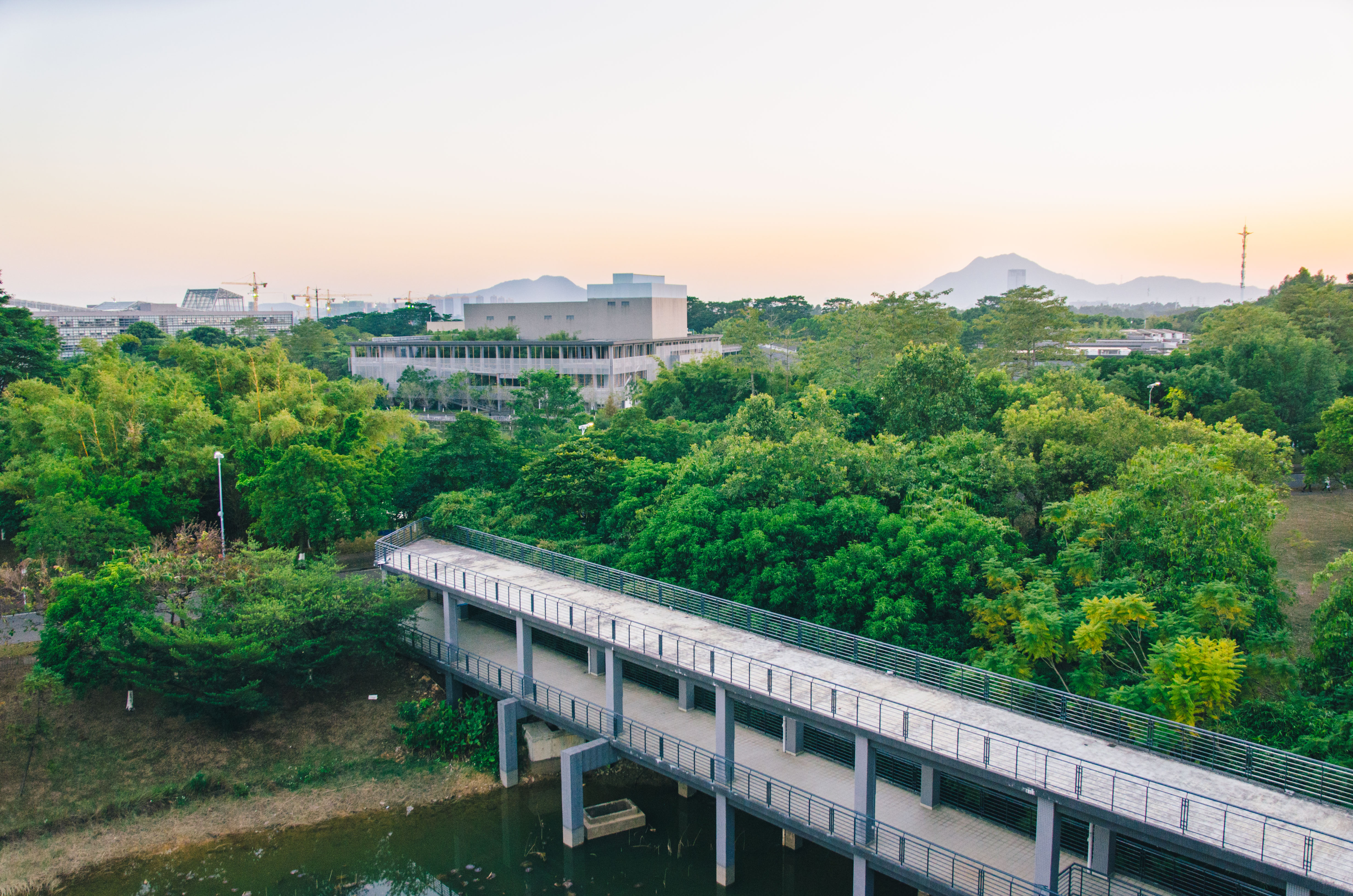 东莞理工大学校园风光图片